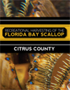 Scalloping in Citrus County Scalloping Guide