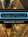 Hernando County Scalloping Guide