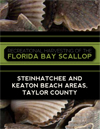 Scalloping in Taylor County PDF Guide