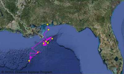 satelite map of the gulf of mexico showing Okeanos Explorer's 56 day drip 2012