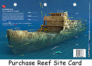 captain dan shipwreck shown underwater