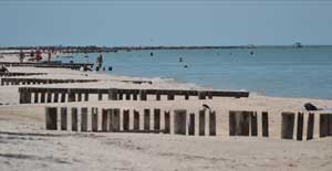 Pilings on Naples beach south of 33rd Street
