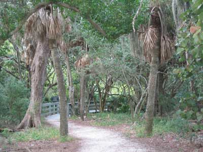 shaded path with a wood boardwalk leading to the pier