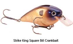 brown and gold hard lure with bib and 2 treble hooks