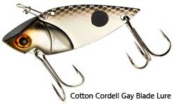 gold and silver blade lure