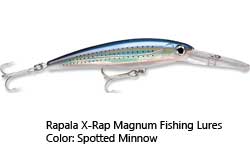 blue and silver lure with long bib