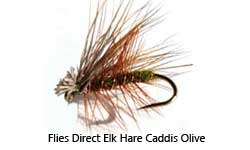 a wet fly fishing fly