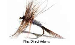a dry fishing fly