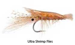 a saltwater fishing fly