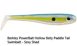 yellow and blue soft lure with eye and side spot