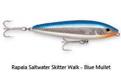 silver and blue lure with 2 treble hooks and no bib