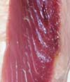 Bonito fillet closeup