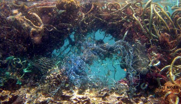 piles of nets and traps underwater