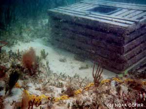 Ghost lobster trap