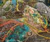 piles of ghost fishing nets on a boat
