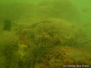 Ghost net on Santa Lucia shipwreck off Naples