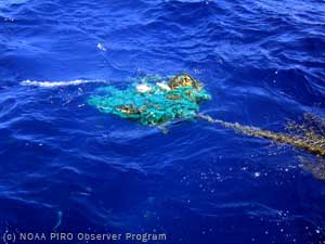 Ghost net floating