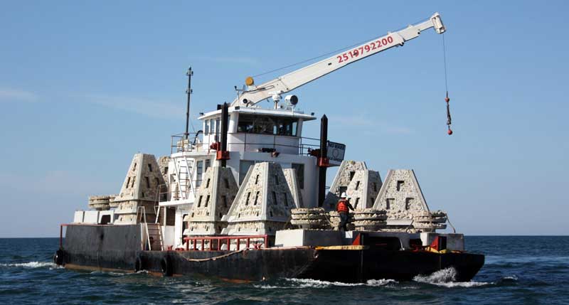 pyramid modules and grouper reef ecosystems on a barge