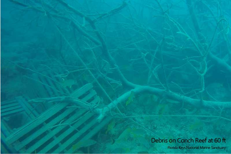conch reef with storm debris on it