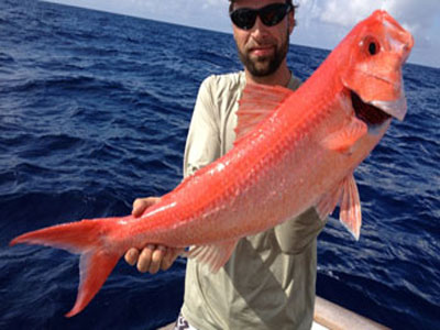 3 girls with a big grouper