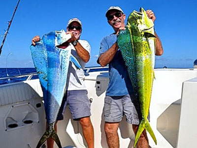 two men on a boat each holding a huge bull mahi mahi dolphin fish, one fish is blue and the other yellow and green