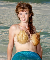 Miss mermaid Lynn wearing a horseshoe crab bra