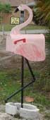 The great Polly the Mailbox