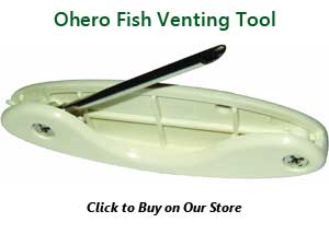 Ohero Fish Venting Tool, click to buy on our store