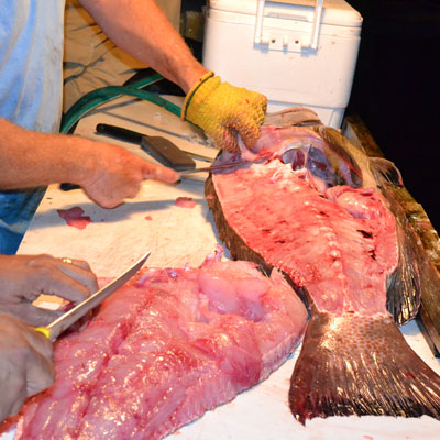 a black grouper on a cutting board with half of its body filleted