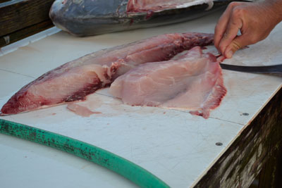 fillet on table with knife just going under the flesh against skin