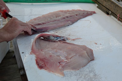 working knife against the skin releasing fillet