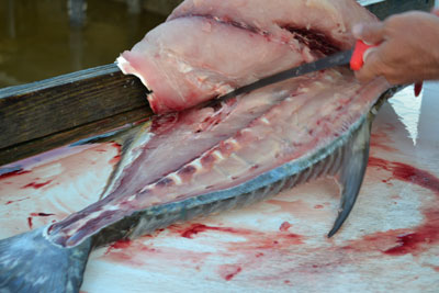 knife cutting the rest of the fillet off the one side of body