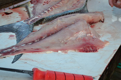 One side of fillet removed from fish sits on the fillet table