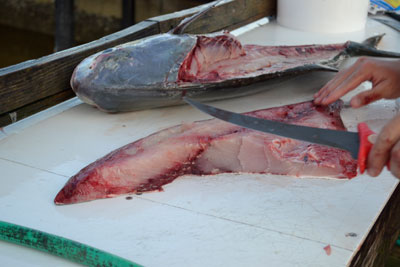 Regged end is trimmed off the fillet.