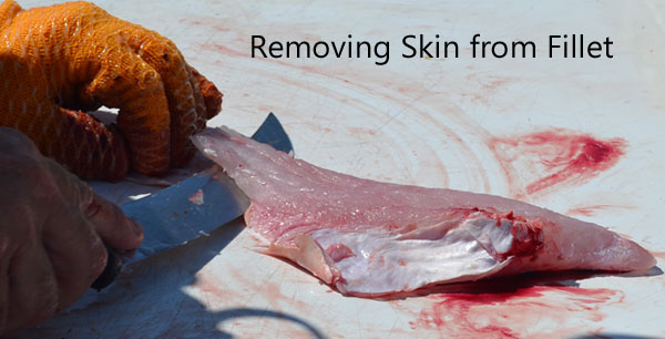 closeup of removing skin from fillet, shows knife sliding down 