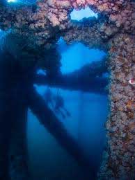 Offshore reef image