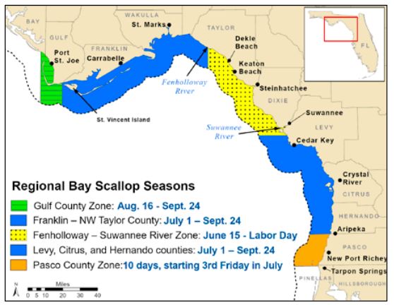 map showing the scallop harvest areas in Florida and the legal dates to harvest scallops in 2019