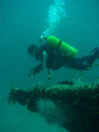 Scuba diver on a wreck