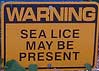 Sea Lice danger sign