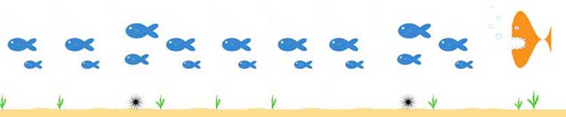 graphic of big fish chasing little fish