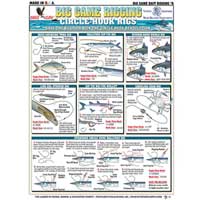 Bait Rigging Chart #6 - Circle Hook Rigs